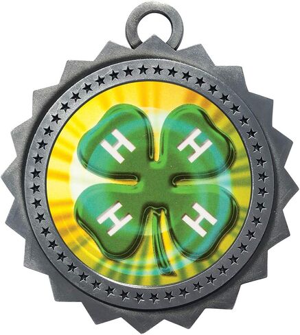 Express Medals مجموعة متنوعة من 10 أنماط من ميداليات جوائز 4H مع هدية جائزة جائزة أشرطة الرقبة in Kuwait
