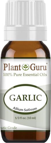 Garlic Essential Oil - 10 ml. 100% Pure Natural Undiluted Therapeutic Grade Allium Sativum in Saudi Arabia