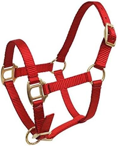 Showman FOAL/MINI Premium Nylon Halter w/Brass Hardware in Saudi Arabia