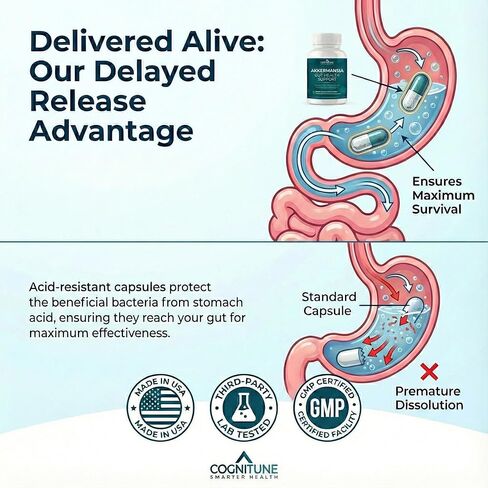 CogniTune Probiotic with 5 Billion AFU Akkermansia Muciniphila - Supports Gut Health with 30 Billion CFU and Prebiotic Fiber - Delayed Release Capsules in Saudi Arabia