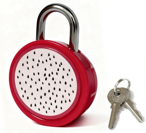 Orange Padlock Cute Mini Padlock with Keys - for Jewelry Box, Purse, Handbag, Backpacks, Cabinet, Treasure Chest, Suitcases, Lockers, Letter Box, Diary, Notebook in Saudi Arabia