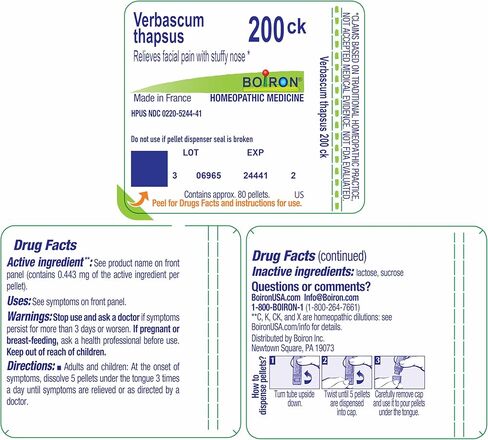 Boiron Verbascum Thapsus 200CK Homeopathic Medicine for Facial Pain with Stuffy Nose - 80 Pellets in Saudi Arabia