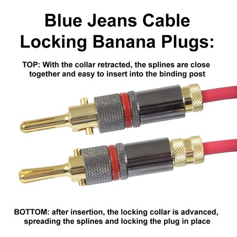 Blue Jeans Cable Canare 4S11 Speaker Cable, with Ultrasonically-Welded Conventional (Non-Bi-Wire) Terminations, (One Cable - for one Speaker); Assembled in The USA (8 Foot, Black, Bananas to Bananas) in Saudi Arabia