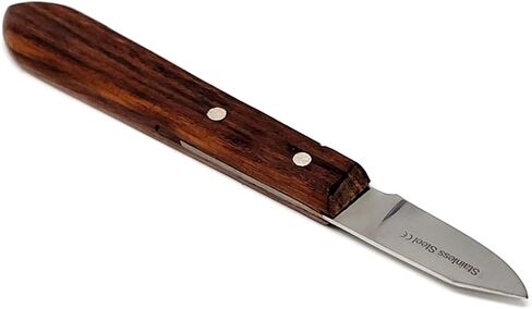 Dental Wax Carving Plaster Alginate Mixing Knife Stainless Steel Amalgam Carvers With Wooden Handle For Clay Modelling Contouring Smoothing Sculpting Shaping Laboratory Restorative Tools (6R Knife) in Saudi Arabia