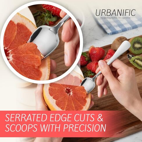 Grapefruit Spoons – Serrated Edge Stainless Steel Spoons to Easily Cut Citrus Fruits like Grapefruit, Oranges & Kiwi – Polished Finish, Dishwasher Safe - 2 Pack in Saudi Arabia
