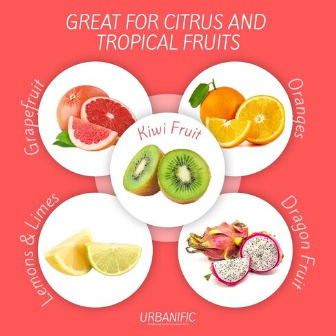 Grapefruit Spoons – Serrated Edge Stainless Steel Spoons to Easily Cut Citrus Fruits like Grapefruit, Oranges & Kiwi – Polished Finish, Dishwasher Safe - 2 Pack in Saudi Arabia