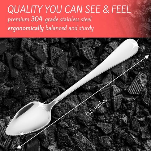 Grapefruit Spoons – Serrated Edge Stainless Steel Spoons to Easily Cut Citrus Fruits like Grapefruit, Oranges & Kiwi – Polished Finish, Dishwasher Safe - 2 Pack in Saudi Arabia