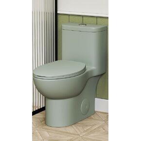 Black One Piece Toilets for Bathrooms, Compact Dual Flush Toilet Elongated with Soft Closing Seat, Modern 12 Inch Rough in Toilet, 1.6 GPF & Map 1000g, Comfort Height, Silent Design (Black) in Saudi Arabia