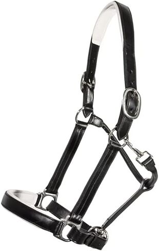 Schneiders Joseph Sterling Aachen Dressage Halter for Horses | Triple-Stitched Sedgwick Leather | Padded Nose & Crown | Elegant Show Halter in Saudi Arabia