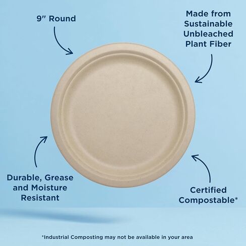 World Centric Compostable Round Paper Plates, 9" (Pack of 20), Made from Unbleached Plant Fiber, Sustainable, Heavy Duty, Grease Resistant, Microwave & Freezer Safe, PFAS Free in Saudi Arabia