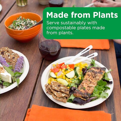 World Centric Compostable Round Paper Plates, 9" (Pack of 20), Made from Unbleached Plant Fiber, Sustainable, Heavy Duty, Grease Resistant, Microwave & Freezer Safe, PFAS Free in Saudi Arabia
