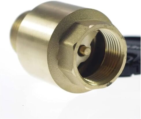 1 Pcs Brass 3/4" Female Male BSPP Threaded Straight Check Valve Spring Vertical in Saudi Arabia
