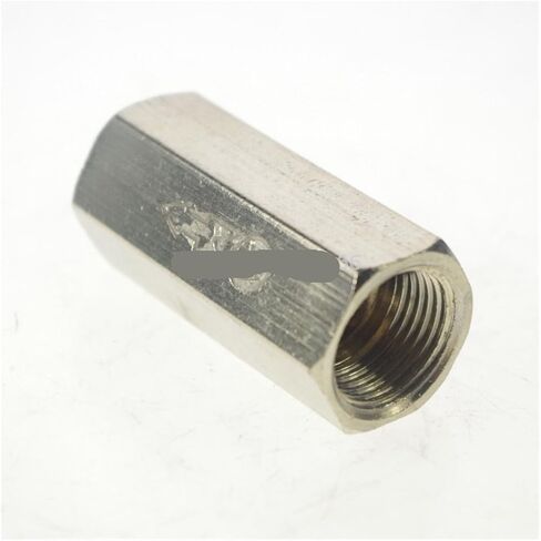 1/8 "BSPP أنثى صمام فحص الهواء في اتجاه واحد1/8 BSPP أنثى صمام فحص الهواء في اتجاه واحد in Saudi Arabia