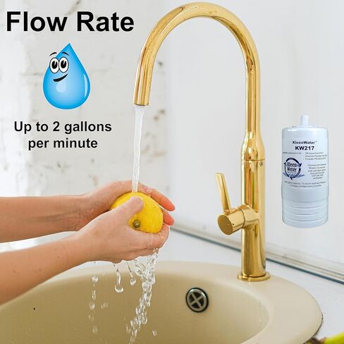 فلتر مياه KleenWater KW217 متوافق مع Aqua-Pure AP217، مرشحات بديلة لنظام AP200، خرطوشة استبدال الكربون، مجموعة من 2 in Kuwait