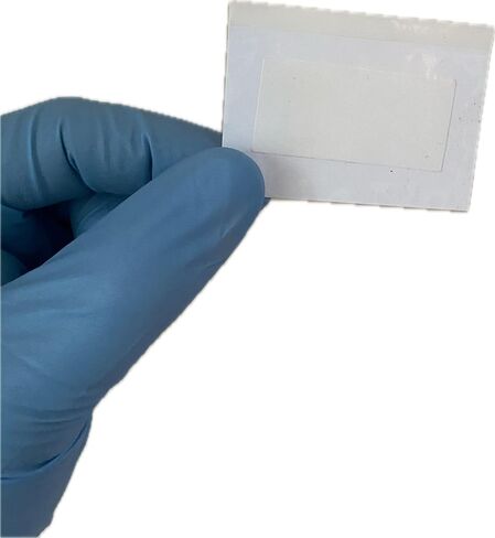 Semen Residue Detection Test Kit with Positive and Negative Controls, Crime Scenes, Infidelity, Parental Control, & Forensic Use in Saudi Arabia