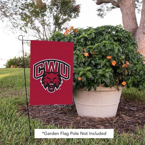 Desert Cactus Central Washington University CWU Garden Flag – 19 x 12 inch Washington Wildcats Banner, For Outdoor Display and Events (Design 1) in Saudi Arabia