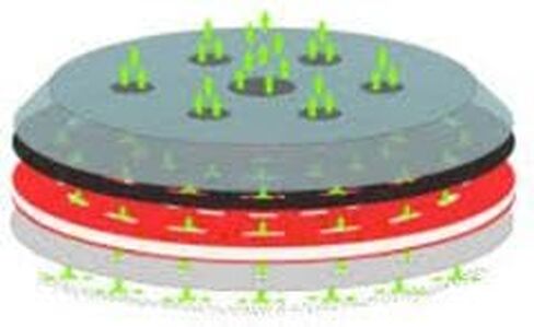 اشتري Indasa Rhynogrip 6 بوصة Ultravent Multi-Hole Grip High Profile Universal Backup Pad، 561836 in Kuwait