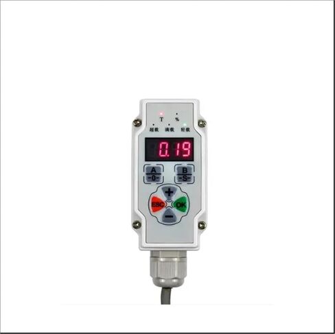 Elevator Overload Measurement Sensor Wire Rope Installation in Saudi Arabia