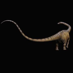 نسخة طبق الأصل لنموذج ديناصور ذكر من فئة متحف XINPANYIAN REBOR Diplodocus Stargazer، إصدار عادي، مقياس 1:35 in Kuwait