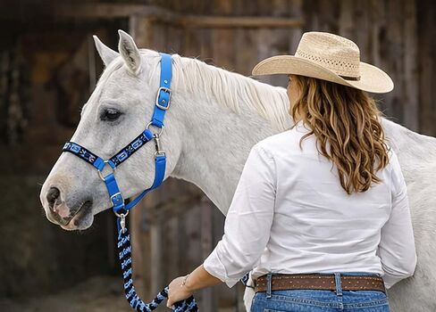 CHALLENGER Nylon Horse Beaded Halter Nickle Plated Hardware w/Lead Rope Tack Blue 606175SB in Saudi Arabia