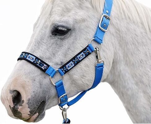 CHALLENGER Nylon Horse Beaded Halter Nickle Plated Hardware w/Lead Rope Tack Blue 606175SB in Saudi Arabia