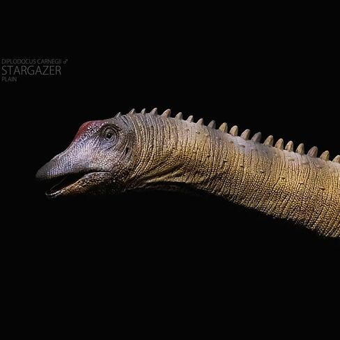 XINPANYIAN Museum Class REBOR Diplodocus Stargazer Male Dinosaur Model Replica, Plain Version, 1:35 Scale in Saudi Arabia