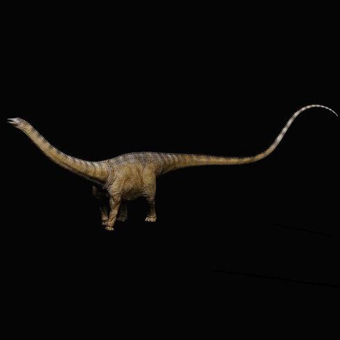 XINPANYIAN Museum Class REBOR Diplodocus Stargazer Male Dinosaur Model Replica, Plain Version, 1:35 Scale in Saudi Arabia