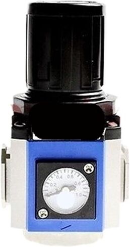 GR300-10 Port G3/8" Control Compressor Pressure Relief regulating Valve in Saudi Arabia