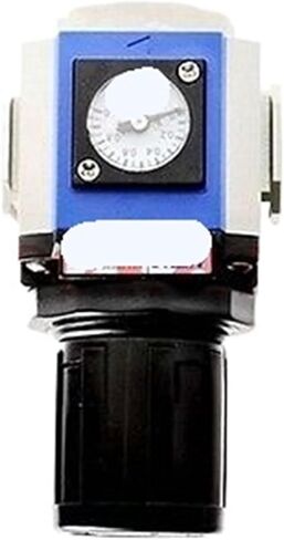 GR300-10 Port G3/8" Control Compressor Pressure Relief regulating Valve in Saudi Arabia
