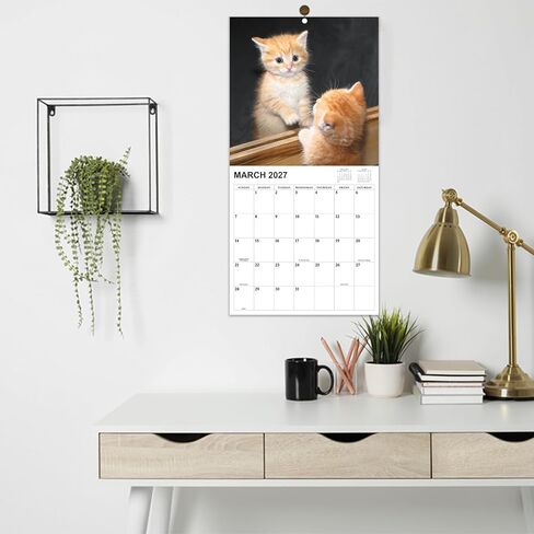 2026-2027 Calendar - 18 Monthly 2026-2027 Wall Calendar, Jan. 2026 - Jun. 2027, Cat Calendar with Unruled Blocks, Wall Calendar for Office School Home Planning, Calendars Wall 12" x 24"(Open) in Saudi Arabia