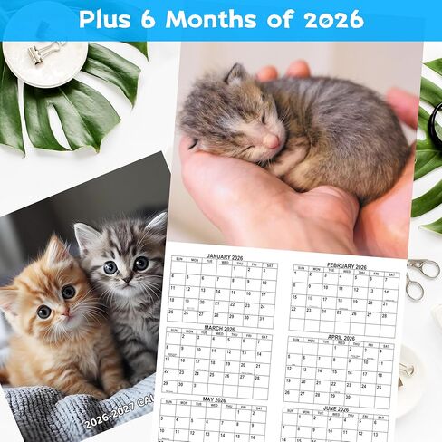 2026-2027 Calendar - 18 Monthly 2026-2027 Wall Calendar, Jan. 2026 - Jun. 2027, Cat Calendar with Unruled Blocks, Wall Calendar for Office School Home Planning, Calendars Wall 12" x 24"(Open) in Saudi Arabia
