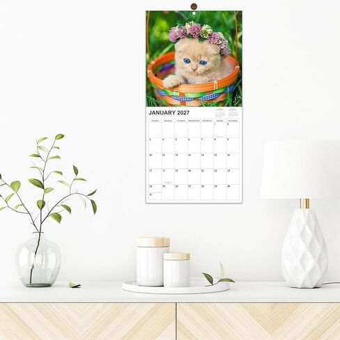 2026-2027 Calendar - 18 Monthly 2026-2027 Wall Calendar, Jan. 2026 - Jun. 2027, Cat Calendar with Unruled Blocks, Wall Calendar for Office School Home Planning, Calendars Wall 12" x 24"(Open) in Saudi Arabia