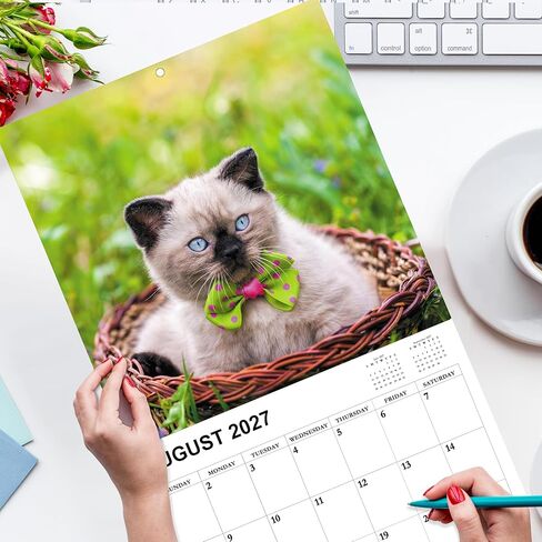 2026-2027 Calendar - 18 Monthly 2026-2027 Wall Calendar, Jan. 2026 - Jun. 2027, Cat Calendar with Unruled Blocks, Wall Calendar for Office School Home Planning, Calendars Wall 12" x 24"(Open) in Saudi Arabia