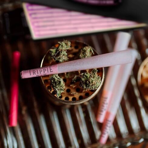 مخاريط Trippie Day Pink مقاس 1/4 ملفوفة مسبقًا في صندوق صديق للبيئة | نباتي وغير معدّل وراثيًا | تتضمن 10 أعواد تعبئة | وردي 84 ملم in Kuwait