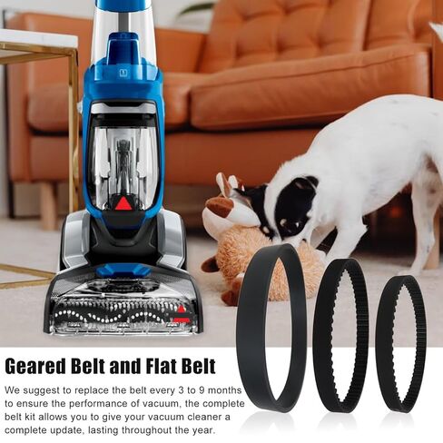 مجموعة حزام مضخة مضخة 3 قطع جزء # 1611129، 1611130، 1606428 لـ Bissell ProHeat 2X Revolution Pet Pro Plus 1986، 1964، 19862، 19863، 1986R، 1986V، 1986B بواسطة Acupress in Kuwait