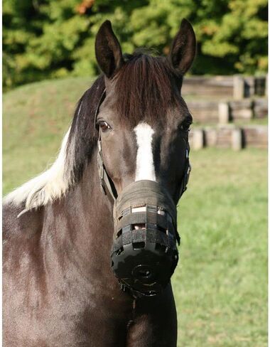 Dura-Tech Grazing Muzzle with Halter for Horses | Size Horse | Stable Essential for Horse Health Grazing Muzzle with Halter | Promotes Safe Eating Habits in Saudi Arabia