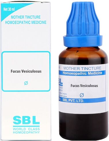 صبغة الأم Fucus Vesiculosus من SBL (Q) 30 مل - تُباع بواسطة Sagar Homeo Stores and Clinic in Saudi Arabia