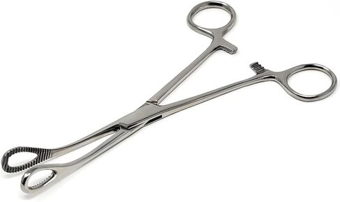 Foerster Sponge Forceps with Serrated Loops 7" Surgical Holding Veterinary Instruments Made of Stainless Steel also Used as Body Piercing Tools (Serrated Jaws STR) in Saudi Arabia