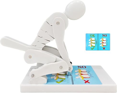 JNMFTD Correct Lifting Model,Bending Weight Lifting Demonstration Figure Model Force Lumbar Spine Protection Posture Interactive Trainer for Teaching Waist and Lumbar Protection During Fitnes in Saudi Arabia