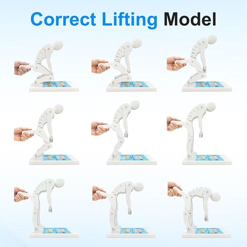 JNMFTD Correct Lifting Model,Bending Weight Lifting Demonstration Figure Model Force Lumbar Spine Protection Posture Interactive Trainer for Teaching Waist and Lumbar Protection During Fitnes in Saudi Arabia