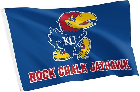 Desert Cactus The University of Kansas 100% Polyester Indoor Outdoor 3x5 feet Banner Jayhawks KU (Flag 1B) in Saudi Arabia