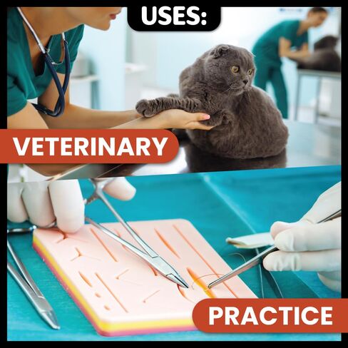 خياطة أحادية صناعية قابلة للامتصاص من Oasis Vet (Poliglecaprone)، 3-0، (FS-2) 3/8 19 مم إبرة قطع عكسية، 75 سم، 12/صندوق، للاستخدام البيطري in Kuwait