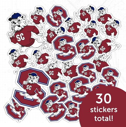 Desert Cactus South Carolina State University Sticker SCSU Bulldogs Vinyl Decals Laptop Water Bottle Car Scrapbook Sheet T1 (Type 1-1) in Saudi Arabia