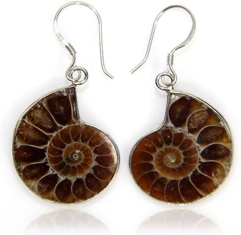Natural Ammonite Fossil with S925 Sterling Silver Hook Charm Earrings in Saudi Arabia