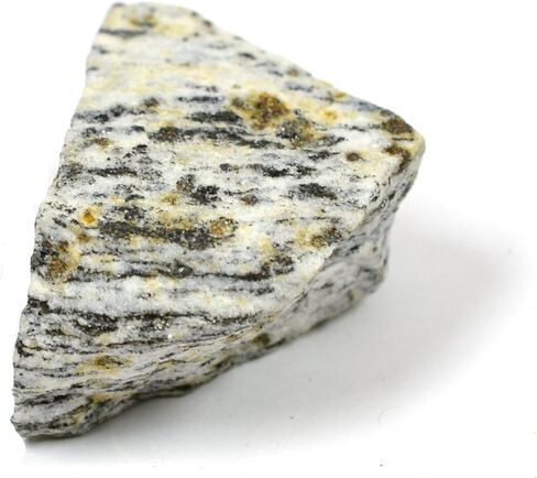 عينة EISCO Biotite Gneiss (الصخور المتحولة)، تقريبًا. 1 بوصة (3 سم) - عبوة من 12 قطعة in Saudi Arabia