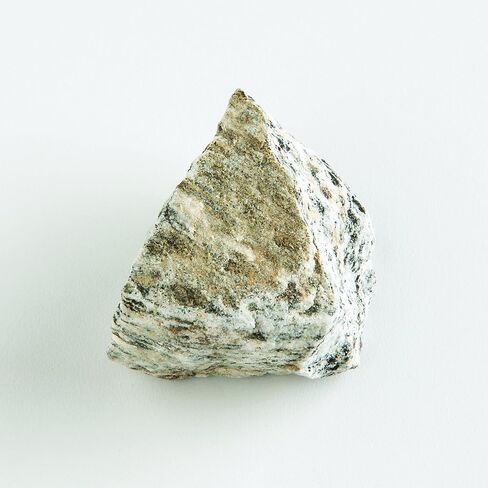 عينة EISCO Biotite Gneiss (الصخور المتحولة)، تقريبًا. 1 بوصة (3 سم) - عبوة من 12 قطعة in Saudi Arabia