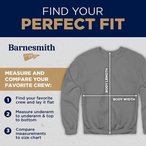 قميص من النوع الثقيل Barnesmith Hofstra University Pride Crewneck، التراث، رمادي فحمي، كبير in Kuwait