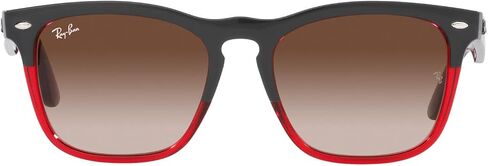 Ray-Ban RB4487 Steve Square Sunglasses in Saudi Arabia