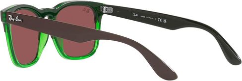 Ray-Ban RB4487 Steve Square Sunglasses in Saudi Arabia