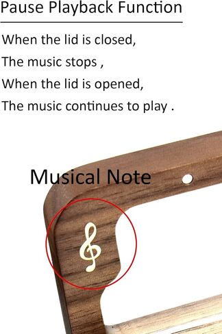 Sinzyo Choppin Serenade Walnut Music Box Vintage Wood Carved Wind Up Musical Box Gift for Christmas,Birthday,Valentine's Day in Kuwait